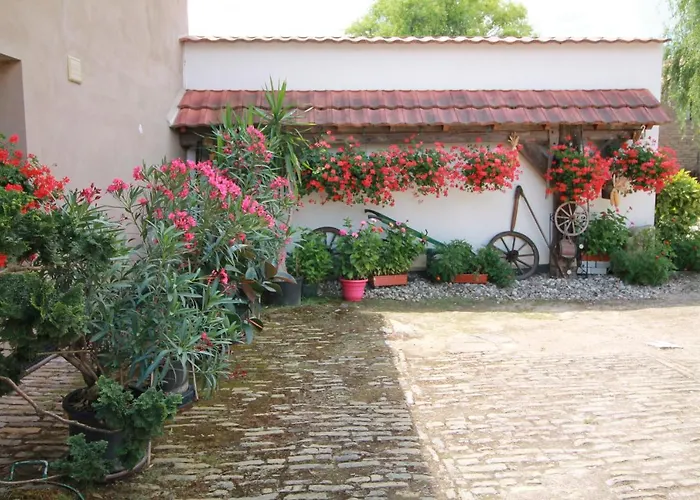 La chambre aux hirondelles